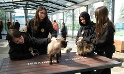 Bursa’da gençlerden patili canlara ziyaret