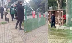 Gemlik'te hayvanseverler harekete geçti!