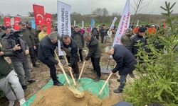 2 yıl önce yanan alan ağaçlandırıldı!