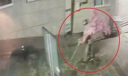 Kafede pes dedirten hırsızlık