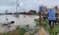 Sağanak, tarım ve hayvancılığı vurdu!