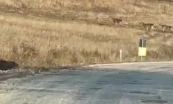 Bursa'da yola indiler!