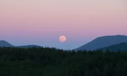 Pembe Dolunay 1 Nisan’da Gökyüzünde