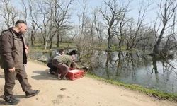 Bursa’da yeniden doğaya salındılar