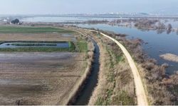 Bursa'da tarım arazileri sular altında