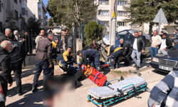 Feci kaza: Dede ve torunlarını ezdi!