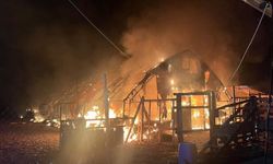 Yangında yüzlerce hayvan telef oldu!