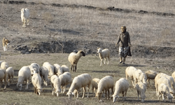 Katledilen kadının eski görüntüleri!