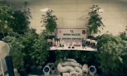 Bursa’da Jandarma’dan büyük operasyon