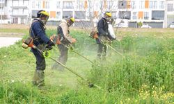 Osmangazi'de Bahar Temizliği