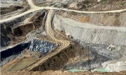 Bursa'da çevre felaketi!