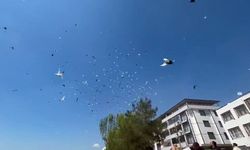 Bursa semalarında muhteşem görsel