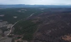 BURSA’DAKİ BÜYÜK YANGININ YARALARI SARILIYOR