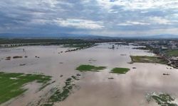 Tarlalar göle döndü