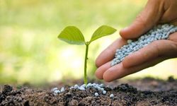 Gübre krizi kapıda