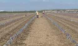 Savaşın faturası Bursa'ya yansıdı!