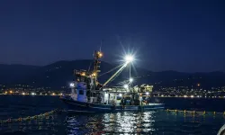 BURSA'DA HAREKETLİLİK BAŞLADI! SEZONA GİRİLDİ...