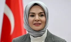 Doğum izni 24 haftaya çıktı, düzenleme yasalaştı