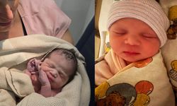 Uçakta beklenmedik misafir