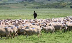 Bakanlık’tan kritik çağrı!