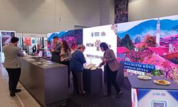 Kültürel miras dünyaya tanıtılıyor