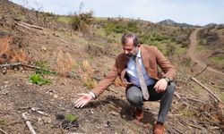 Başkan Işık’tan yeşil Gürsu çağrısı