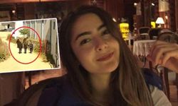 GENÇ AVUKATIN KATİLİ YAKALANDI!