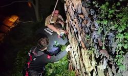 Tophane surlarında intihar girişimi!