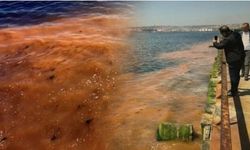 MARMARA DENİZİ TURUNCUYA BOYANDI!