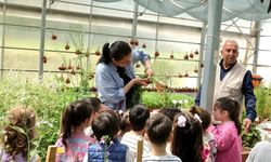 Çocuklar toprak sevgisini öğreniyor