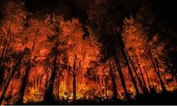 Acı tabloda Bursa ilk sırada!