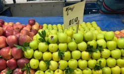 Elma üreticide ucuz, tezgahta pahalı