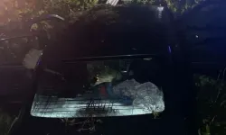 Bursa'da otomobil tarlaya uçtu