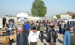 Yenişehir'de kurbanlık hazırlıkları tamamlandı