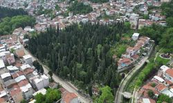 BURSA’DA MEZARLIKLAR BAYRAMA HAZIR