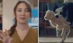 Bosch'un Anneler Günü reklamına inceleme
