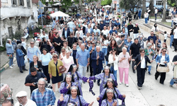 BURSA'DA ZEYTİN ÇİÇEĞİ FESTİVALİ BAŞLIYOR!