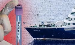 Hantavirüs uyarısı: O alanlar riskli!