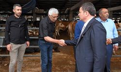 Osmangazi, Kurban Bayramı'na hazır