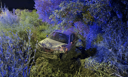 BURSA'DA OTOMOBİL ZEYTİNLİĞE UÇTU!