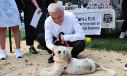 Bursa'da can dostlara yeni yuva!