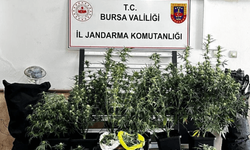 Zehir tacirlerine geçit yok!