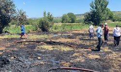 BURSA’DA 20 DÖNÜM KÜLE DÖNDÜ!