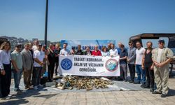 BURSA’DA DENİZDEN ÇIKANLAR ŞOK ETTİ!