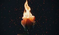 SONY MUSIC TÜRKİYE / HAFTANIN YERLİ ÇIKIŞLARI