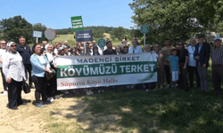 Bursa'da çevrecilerden maden isyanı!