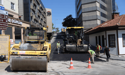 Büyükşehir'den Çekirge Hamlesi