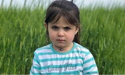 Leyla Aydemir davasında karar