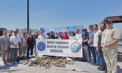 Gemlik'te deniz dibi temizliği
