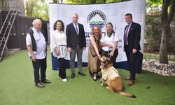GECEYE DEĞER KATAN "YAZA MERHABA"